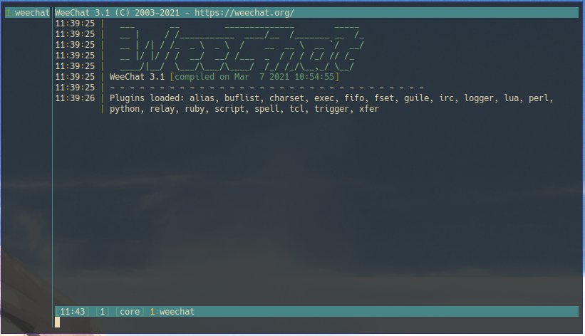 The default WeeChat UI